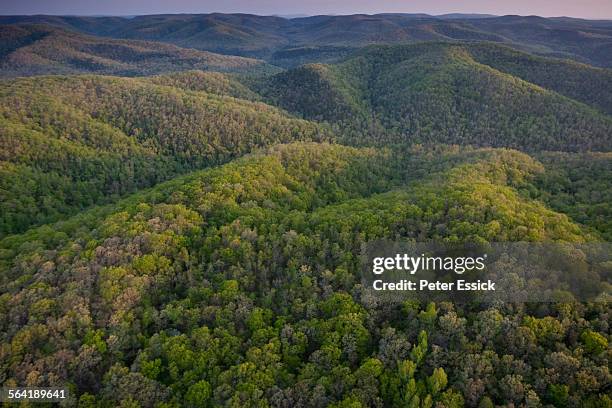 aerial of richland creek wilderness, ozark highlands trail, arkansas - ozark mountains stockfoto's en -beelden