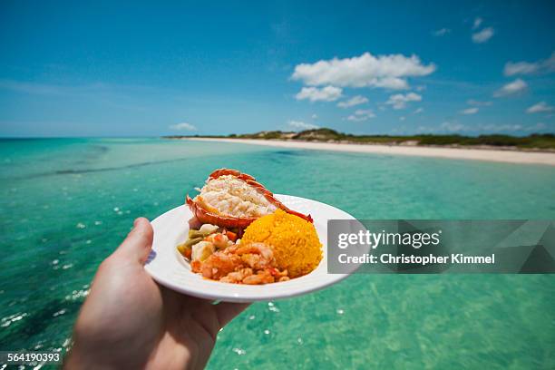 a man holds a plate of seafood with shrimp, lobster tail, and seasoned rice while on a boat - cuba food stock pictures, royalty-free photos & images