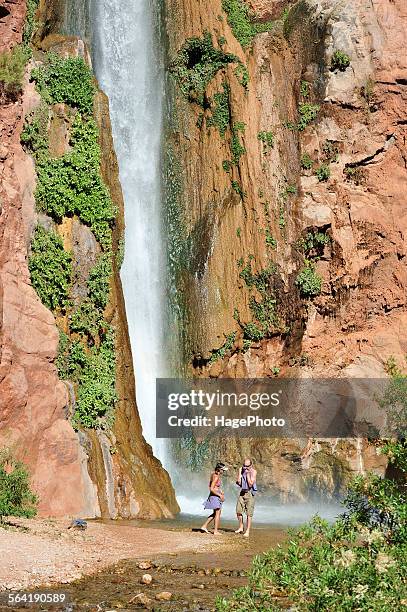 hikers swim in the pool below 180-foot deer creek falls in the grand canyon outside of fredonia, arizona november 2011. - deer creek falls bildbanksfoton och bilder