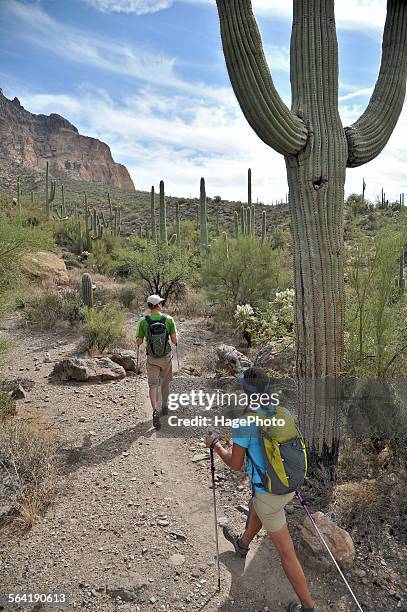 active couple hikes around picketpost mountain in the tonto national forest near phoenix, arizona november 2011. - saguaro cactus stock pictures, royalty-free photos & images