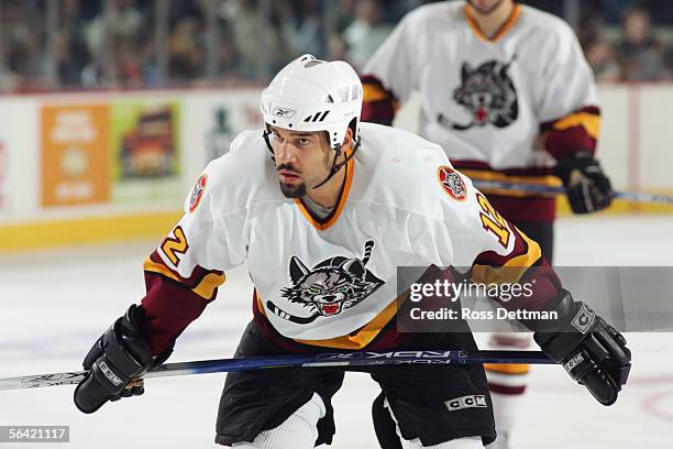 Justin Morrison of the Chicago Wolves waits on the ice during the game against the Milwaukee Admirals at Allstate Arena on November 19, 2005 in...