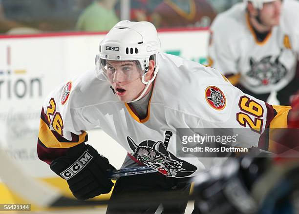 Jared Ross of the Chicago Wolves waits on the ice during the game against the Milwaukee Admirals at Allstate Arena on November 19, 2005 in Rosemont,...