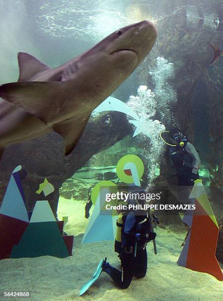 Sharks swim next to Christmas nativity figures in the aquarium at the zoo in Madrid, 13 December 2005. AFP PHOTO/PHILIPPE DESMAZES