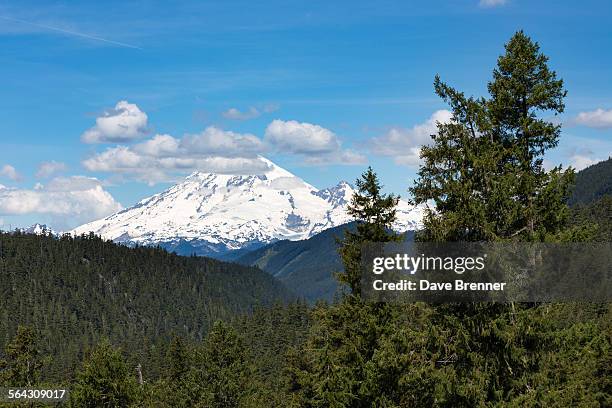 mount rainier (washington state) with trees - tacoma snow stock pictures, royalty-free photos & images