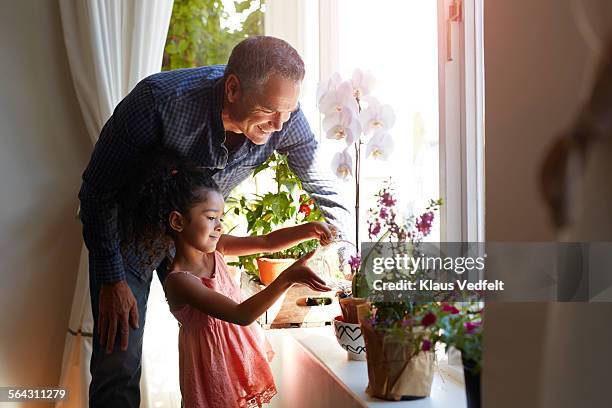 Mature man assisting granddaughter, watering plant