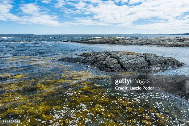 Blue Rocks Ns Blue Rocks Nova Scotia Photos and Premium High Res Pictures - Getty Images