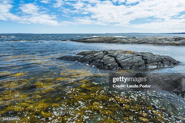 blue rocks at high tide - blue rocks nova scotia stock pictures, royalty-free photos & images