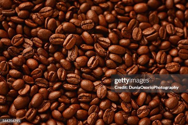 coffee beans - honduras stock-fotos und bilder