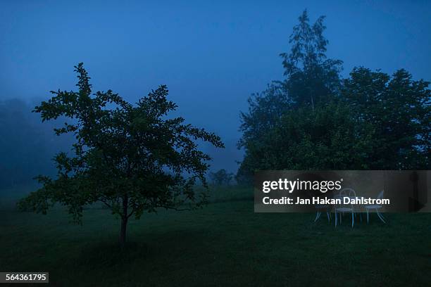 misty garden night - garden grounds stock pictures, royalty-free photos & images