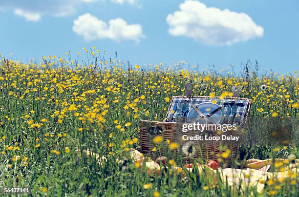 picnic basket in meadow - picnic blanket stockfoto's en -beelden