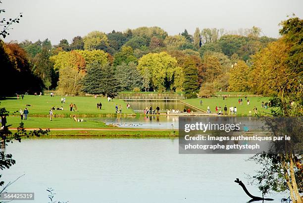 the tervueren park in autumn - belgium people stock pictures, royalty-free photos & images