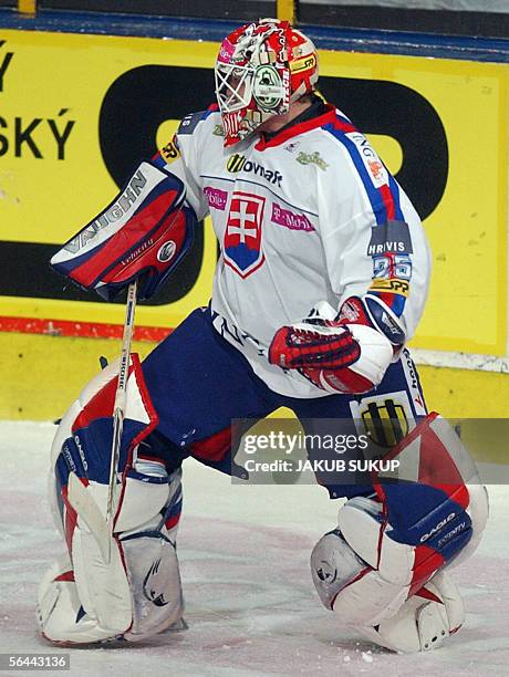 Slovakia's number one goalie Jan Lasak celebrates after winning the match during the International hockey tournament LOTO CUP 2005 between Slovakia...