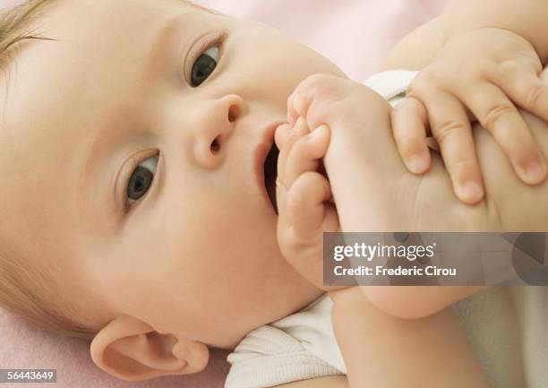 baby putting foot in mouth - feet sucking stock pictures, royalty-free photos & images