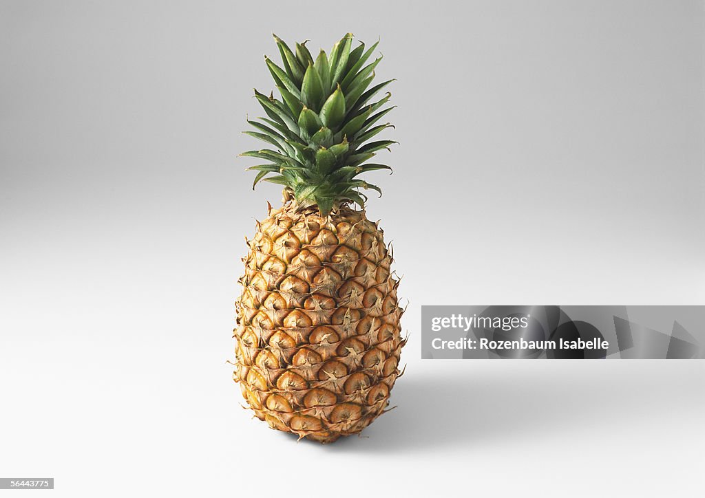 Pineapple