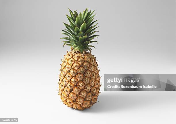pineapple - pineapple stock pictures, royalty-free photos & images