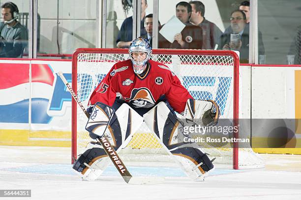 Finnish professional hockey player Pekka Rinne of the Milwaukee Admirals on the ice during a game against the Chicago Wolves at Allstate Arena in...