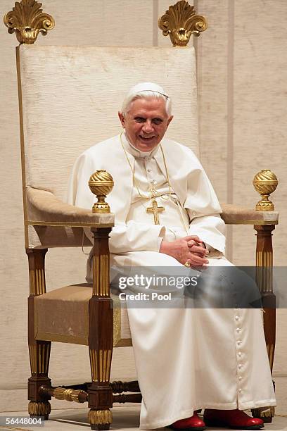 Pope Benedict XVI smiles at Austrian pilgrims during a special audience to thank Austria for the 30 metre Christmas tree given to the Vatican by the...