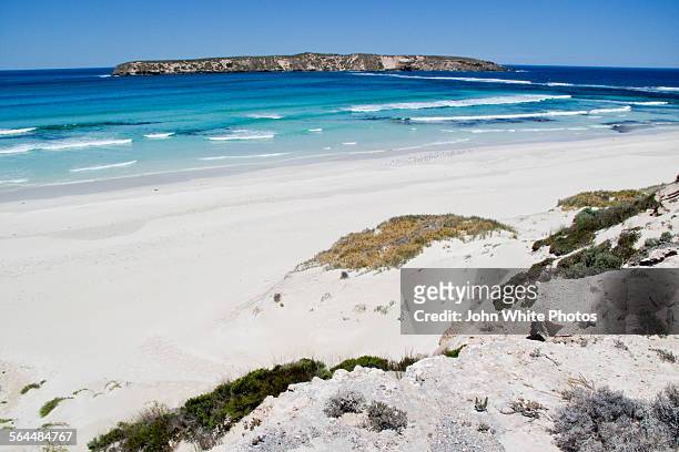almonta beach. south australia. - port lincoln stockfoto's en -beelden