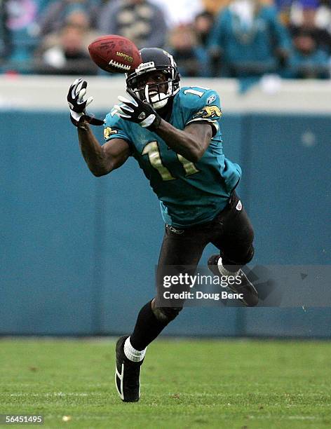 Wide receiver Reggie Williams of the Jacksonville Jaguars can't make a diving catch in the fourth quarter against the San Francisco 49ers on December...