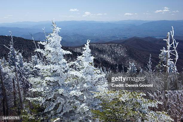 view from clingman's dome - clingman's dome stock-fotos und bilder