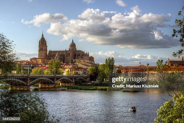 salamanca new cathedral and tormes river - salamanca stock pictures, royalty-free photos & images