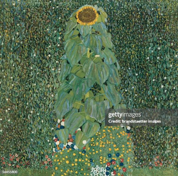 The Sunflower. D146. Oil on canvas. Around 1906/07. [Die Sonnenblume. D146. Oel/Lwd. Um 1906/07.]