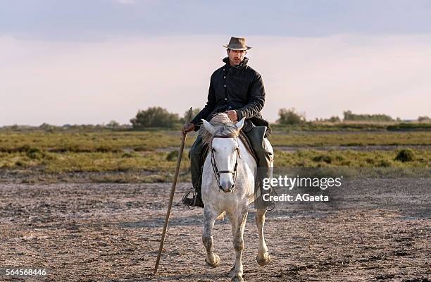 camargue, cowboy and horse - imbrunire stock pictures, royalty-free photos & images