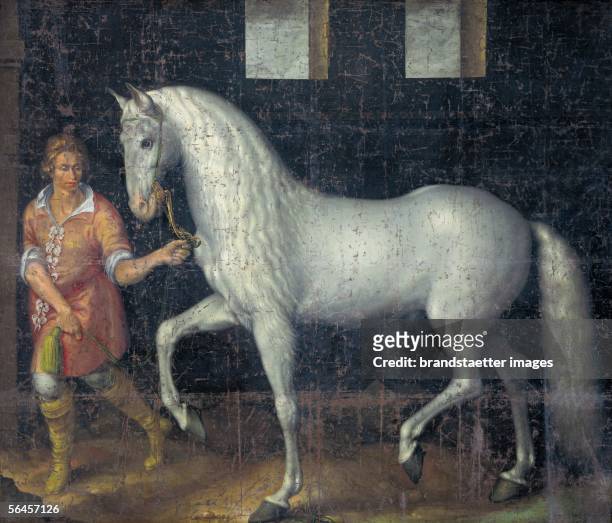 Spanish war horse with groom. The grey horse is said to be archduke Albrecht?s horse, a brother of Emperor Rudolf II. The horse was donated to Prince...