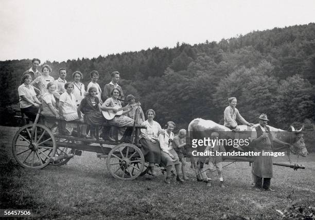 Peasant with pipe carrying tourists on his hay cart, drawn by a cow. Photography, around 1920. [Bauer mit Pfeife fuehrt eine vor einen Heuwagen...