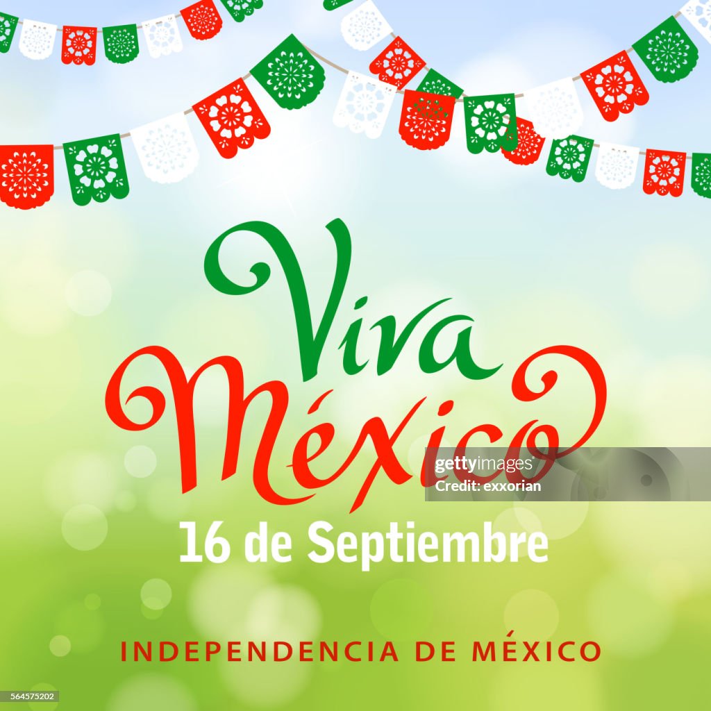 Viva Mexico Papel Picado