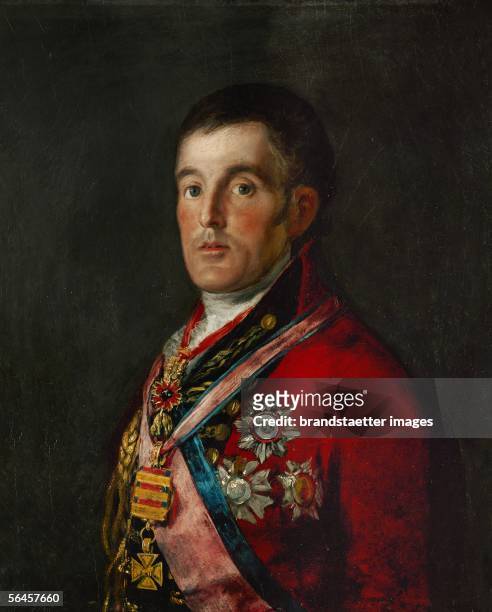 The Duke of Wellington . Oil on canvas. Inv. 6322. [The Duke of Wellington. Gemaelde]