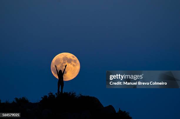 woman silhouette on the full moon - vollmond stock-fotos und bilder