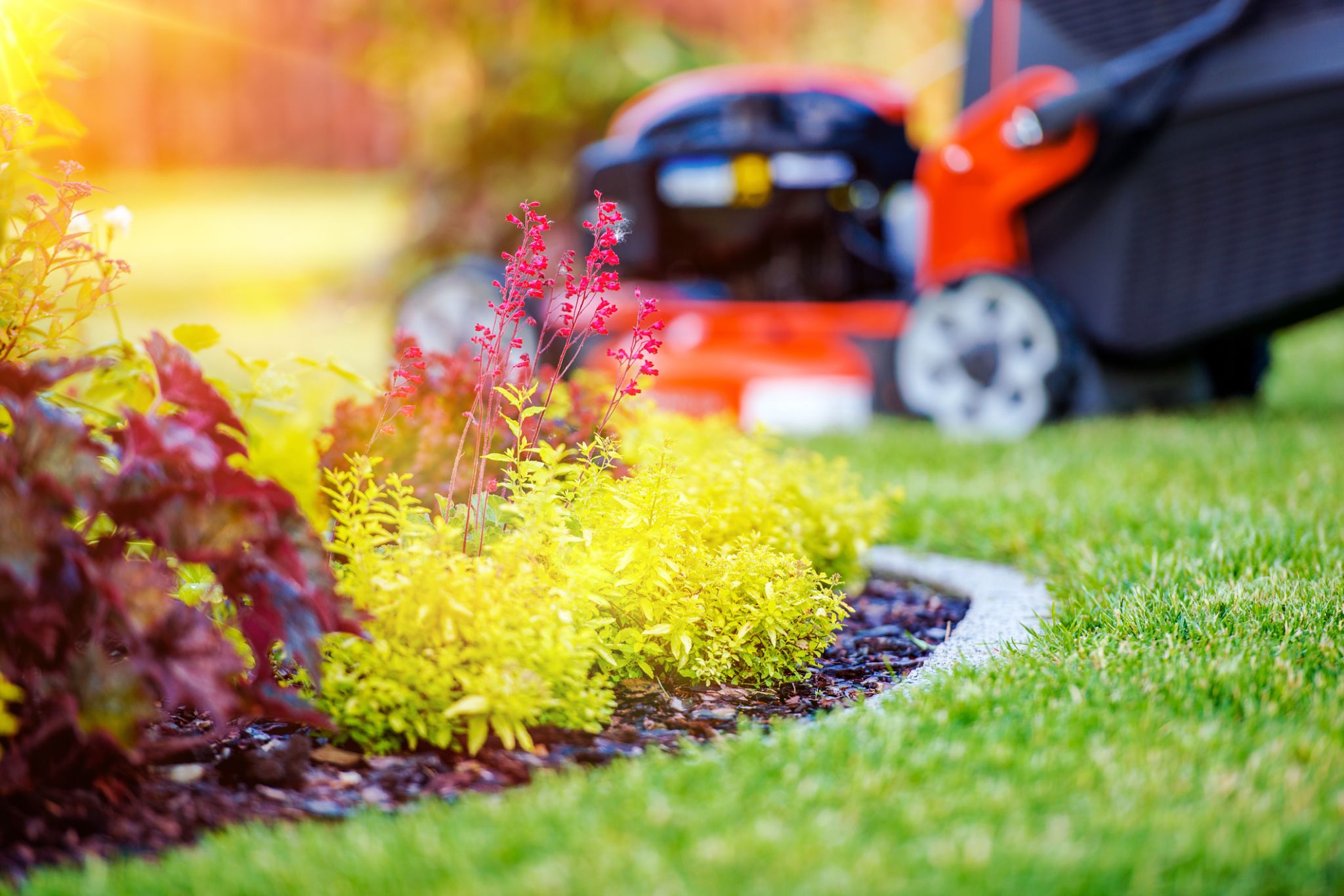 lawn care watering