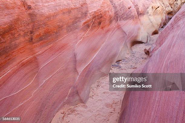 pink canyon, valley of fire state park, nv - valley of fire state park stock pictures, royalty-free photos & images