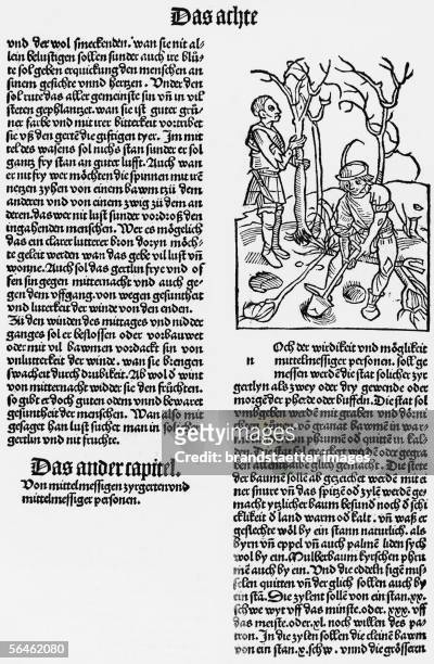 Gardening. Page with illustration. Xylograph, about 1495. [Gartenarbeit - Buchseite mit Illustration. Anonym. Holzschnitt. Um 1495.]