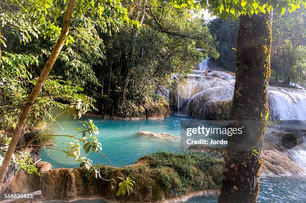 agua azul cascades - agua azul stock pictures, royalty-free photos & images