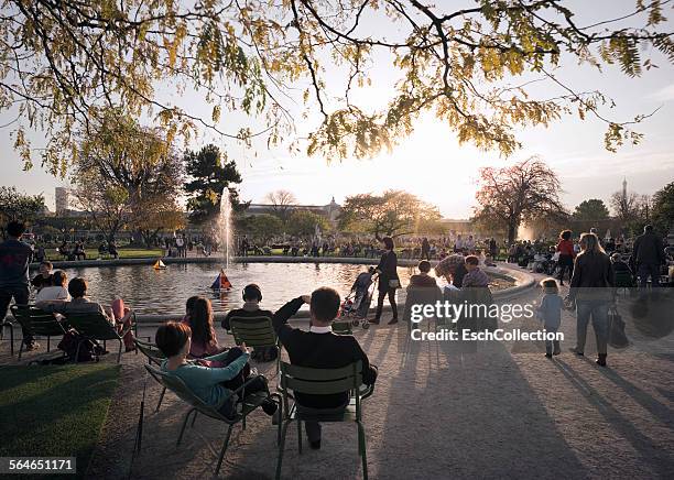 autumn at jardin des tuileries in paris, france - jardín de las tullerías fotografías e imágenes de stock