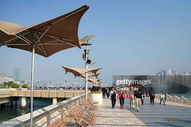 avenue of stars, kowloon, hong kong. - tsim sha tsui stock pictures, royalty-free photos & images