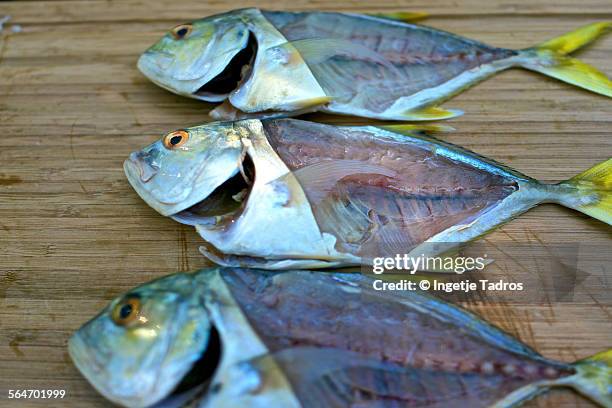 filleted fish - filleted stock pictures, royalty-free photos & images