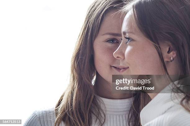 identical twin sisters - adult twins stockfoto's en -beelden