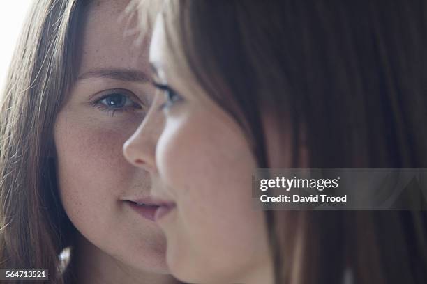 identical twin sisters - look the same stock pictures, royalty-free photos & images