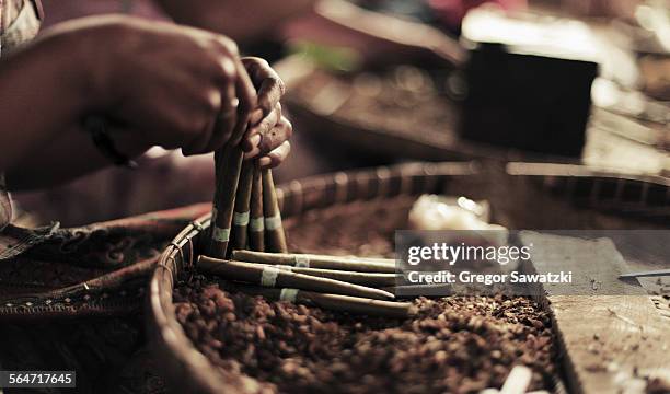 cropped image of hands making cheroots - cheroot foto e immagini stock