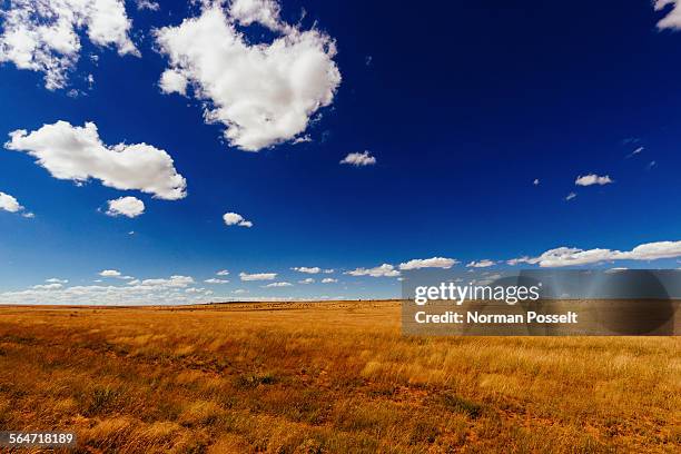 agricultural field against blue sky - norman oklahoma stock pictures, royalty-free photos & images