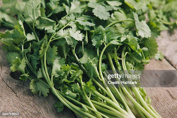 close-up of coriander leaves on table - coriandre photos et images de collection