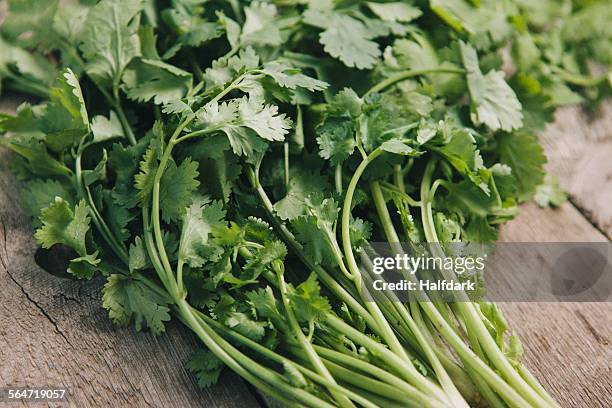 close-up of coriander leaves on table - koriander stockfoto's en -beelden