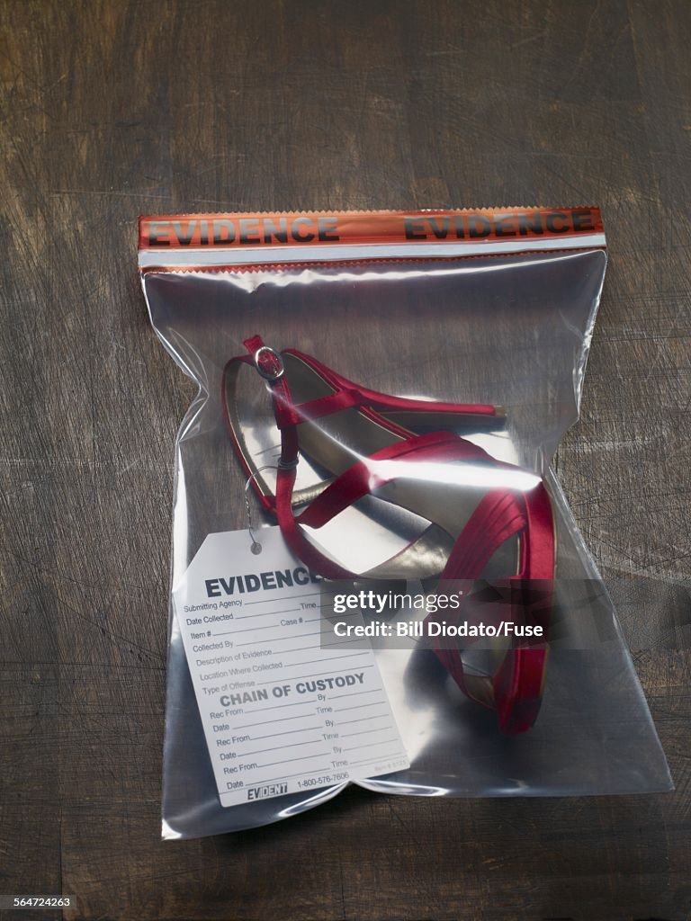 High Heel Shoe in Evidence Bags