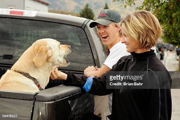 Tele, a yellow lab, greets nordic combined skier Todd Lodwick and Sunny, his wife, from the bed of his pickup truck after lunch at a local deli on...