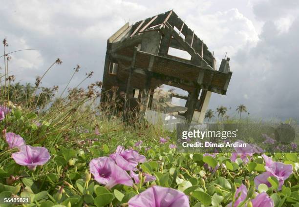 Ruined building damaged by the tsunami is seen on December 24, 2005 in Banda Aceh, Indonesia. Indonesia's Rehabilitation and Reconstruction Agency...