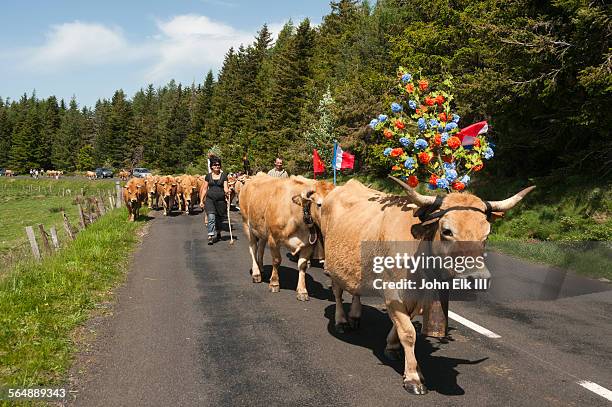 Transhumance 191 France Transhumance Seasonal Stock Photos, High-Res Pictures, and ...