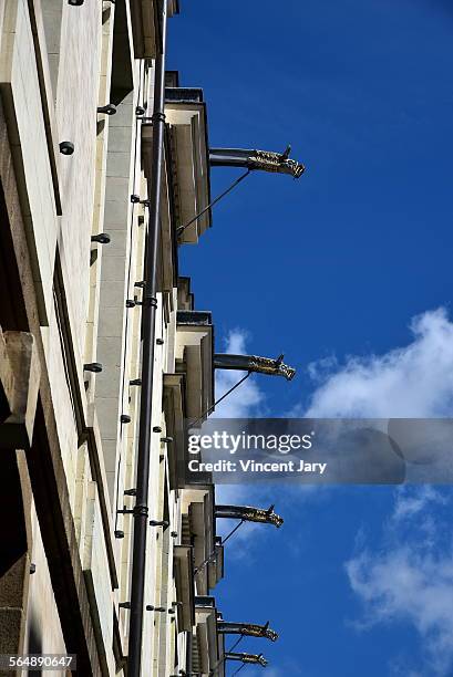 gargoyle - drain camera stock pictures, royalty-free photos & images